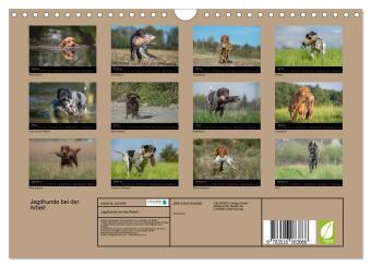Jagdhunde bei der Arbeit (Wandkalender 2026 DIN A4 quer), CALVENDO Monatskalender
