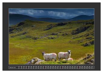 IRLAND - Insel der glücklichen Schafe (Tischkalender 2026 DIN A5 quer), CALVENDO Monatskalender