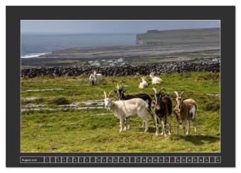 IRLAND - Insel der glücklichen Schafe (Tischkalender 2026 DIN A5 quer), CALVENDO Monatskalender