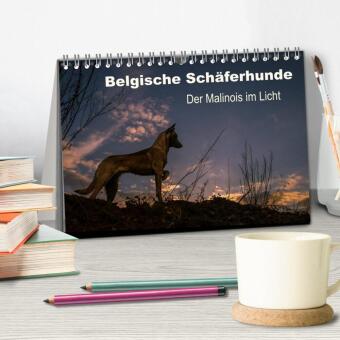 Belgische Schäferhunde - Der Malinois im Licht (Tischkalender 2026 DIN A5 quer), CALVENDO Monatskalender