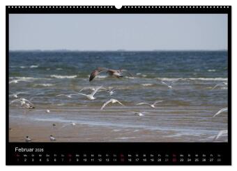 Texel, eine Perle Hollands (hochwertiger Premium Wandkalender 2026 DIN A2 quer), Kunstdruck in Hochglanz