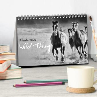 Pferde 2026 Wild Thing (Tischkalender 2026 DIN A5 quer), CALVENDO Monatskalender