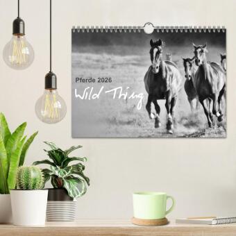 Pferde 2026 Wild Thing (Wandkalender 2026 DIN A4 quer), CALVENDO Monatskalender