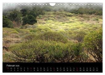 Insel El Hierro - Perle der Kanaren (Wandkalender 2026 DIN A4 quer), CALVENDO Monatskalender
