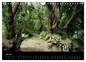 Insel El Hierro - Perle der Kanaren (Wandkalender 2026 DIN A4 quer), CALVENDO Monatskalender