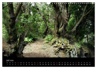 Insel El Hierro - Perle der Kanaren (Wandkalender 2026 DIN A3 quer), CALVENDO Monatskalender