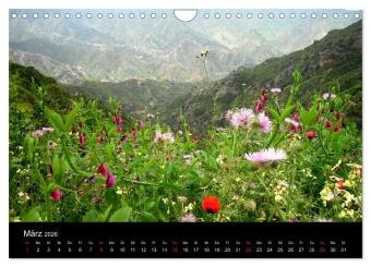 La Gomera (Wandkalender 2026 DIN A4 quer), CALVENDO Monatskalender