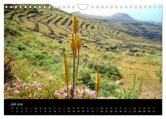 La Gomera (Wandkalender 2026 DIN A4 quer), CALVENDO Monatskalender
