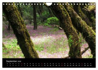 La Gomera (Wandkalender 2026 DIN A4 quer), CALVENDO Monatskalender