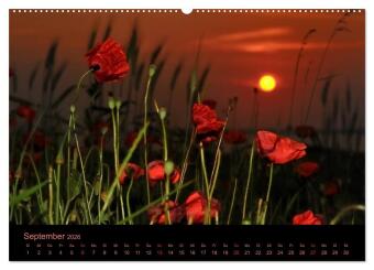 Sonnenuntergang (Wandkalender 2026 DIN A2 quer), CALVENDO Monatskalender