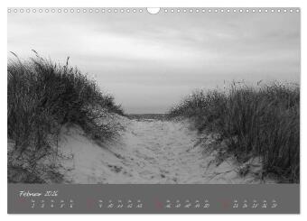 Wege zum Meer (Wandkalender 2026 DIN A3 quer), CALVENDO Monatskalender