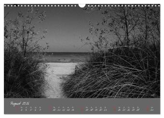 Wege zum Meer (Wandkalender 2026 DIN A3 quer), CALVENDO Monatskalender