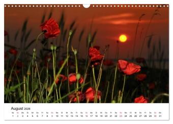 Insel Rügen Impressionen (Wandkalender 2026 DIN A3 quer), CALVENDO Monatskalender
