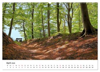 Insel Rügen (hochwertiger Premium Wandkalender 2026 DIN A2 quer), Kunstdruck in Hochglanz