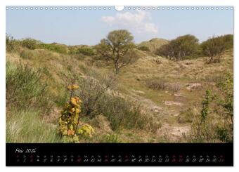 Baltrum (Wandkalender 2026 DIN A3 quer), CALVENDO Monatskalender