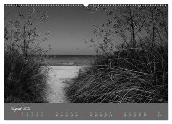 Wege zum Meer (Wandkalender 2026 DIN A2 quer), CALVENDO Monatskalender