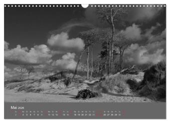 Ostsee - von schwarz bis weiß (Wandkalender 2026 DIN A3 quer), CALVENDO Monatskalender