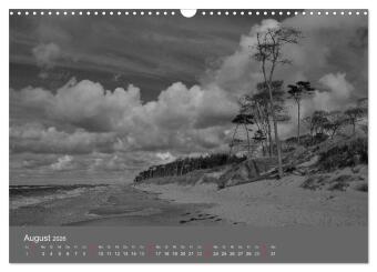 Ostsee - von schwarz bis weiß (Wandkalender 2026 DIN A3 quer), CALVENDO Monatskalender