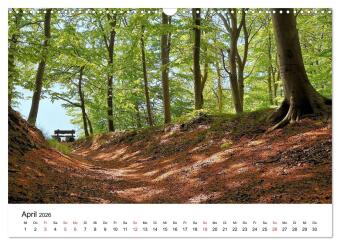 Insel Rügen (Wandkalender 2026 DIN A3 quer), CALVENDO Monatskalender