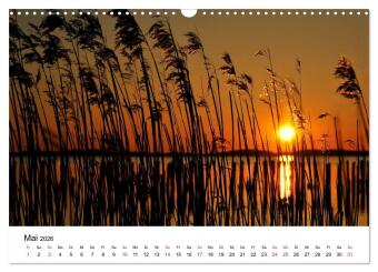 Insel Rügen (Wandkalender 2026 DIN A3 quer), CALVENDO Monatskalender