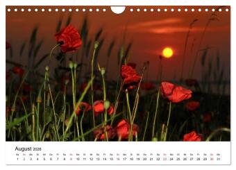 Insel Rügen Impressionen (Wandkalender 2026 DIN A4 quer), CALVENDO Monatskalender