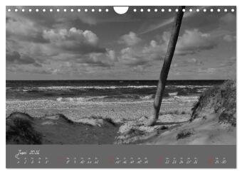 Wege zum Meer (Wandkalender 2026 DIN A4 quer), CALVENDO Monatskalender