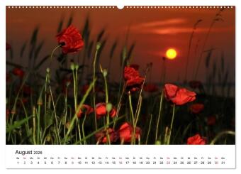 Insel Rügen Impressionen (hochwertiger Premium Wandkalender 2026 DIN A2 quer), Kunstdruck in Hochglanz