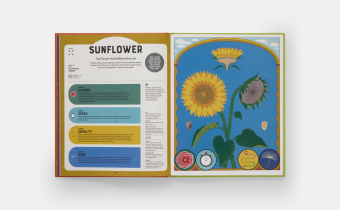 Superpowered Plants