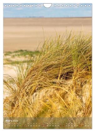 Nordfriesland, Zwischen St. Peter Ording und Sylt (Wandkalender 2026 DIN A4 hoch), CALVENDO Monatskalender