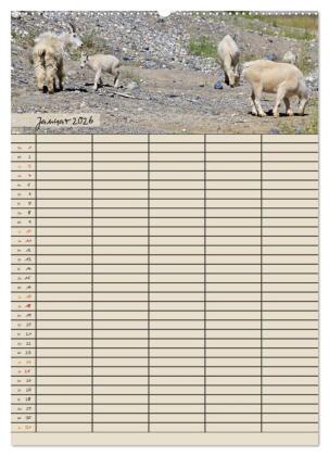 Tierischer Familienplaner (Wandkalender 2026 DIN A2 hoch), CALVENDO Monatskalender