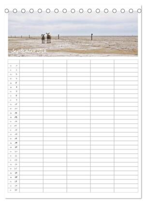 Nordfriesland - Familienplaner (Tischkalender 2026 DIN A5 hoch), CALVENDO Monatskalender
