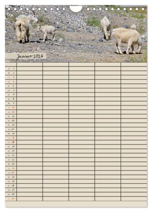 Tierischer Familienplaner (Wandkalender 2026 DIN A4 hoch), CALVENDO Monatskalender