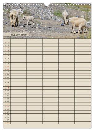 Tierischer Familienplaner (Wandkalender 2026 DIN A3 hoch), CALVENDO Monatskalender