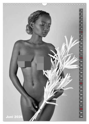 EROTIK FOTOART SEXY GIRLS (Wandkalender 2026 DIN A3 hoch), CALVENDO Monatskalender