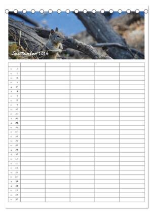 Kalifornien - Familienplaner 2026 (Tischkalender 2026 DIN A5 hoch), CALVENDO Monatskalender