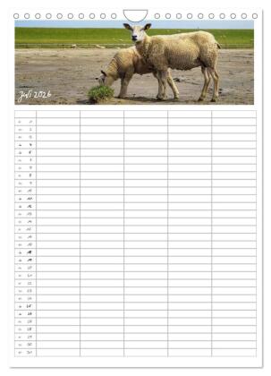 Nordfriesland - Familienplaner (Wandkalender 2026 DIN A4 hoch), CALVENDO Monatskalender