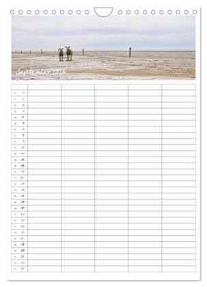 Nordfriesland - Familienplaner (Wandkalender 2026 DIN A4 hoch), CALVENDO Monatskalender