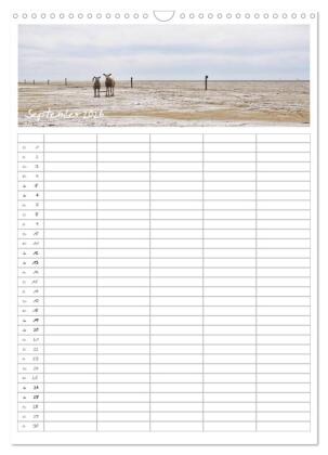 Nordfriesland - Familienplaner (Wandkalender 2026 DIN A3 hoch), CALVENDO Monatskalender