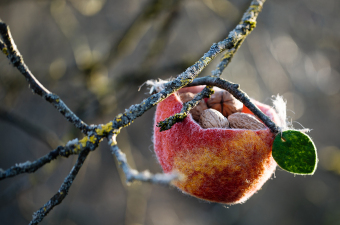 Kleine Lieblinge