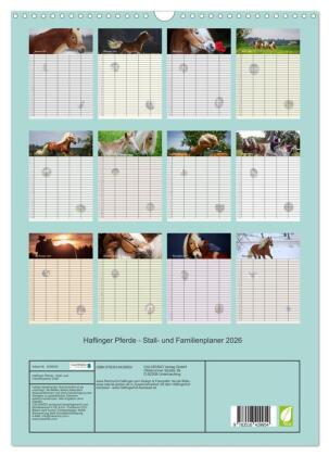 Haflinger Pferde - Stall- und Familienplaner 2026 (Wandkalender 2026 DIN A3 hoch), CALVENDO Monatskalender