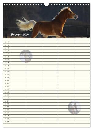 Haflinger Pferde - Stall- und Familienplaner 2026 (Wandkalender 2026 DIN A3 hoch), CALVENDO Monatskalender