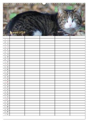 Bauernhoftiere Familienplaner (Wandkalender 2026 DIN A2 hoch), CALVENDO Monatskalender
