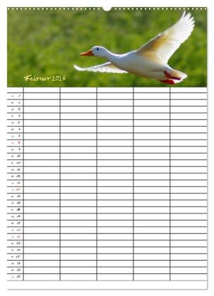 Bauernhoftiere Familienplaner (Wandkalender 2026 DIN A2 hoch), CALVENDO Monatskalender