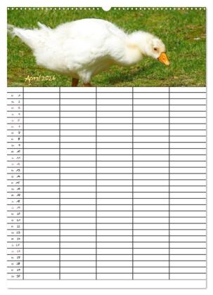 Bauernhoftiere Familienplaner (Wandkalender 2026 DIN A2 hoch), CALVENDO Monatskalender