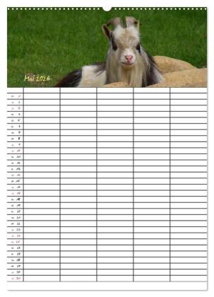 Bauernhoftiere Familienplaner (Wandkalender 2026 DIN A2 hoch), CALVENDO Monatskalender
