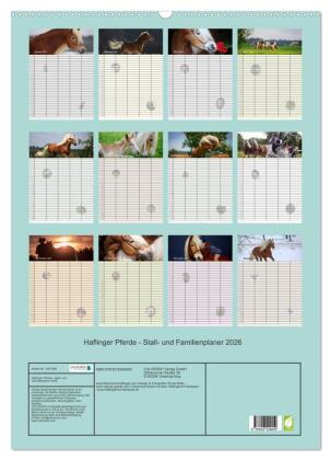Haflinger Pferde - Stall- und Familienplaner 2026 (Wandkalender 2026 DIN A2 hoch), CALVENDO Monatskalender