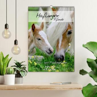 Haflinger Pferde - Stall- und Familienplaner 2026 (Wandkalender 2026 DIN A2 hoch), CALVENDO Monatskalender