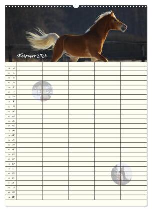 Haflinger Pferde - Stall- und Familienplaner 2026 (Wandkalender 2026 DIN A2 hoch), CALVENDO Monatskalender