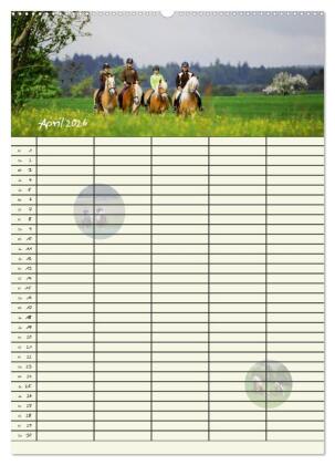 Haflinger Pferde - Stall- und Familienplaner 2026 (Wandkalender 2026 DIN A2 hoch), CALVENDO Monatskalender