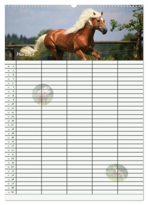 Haflinger Pferde - Stall- und Familienplaner 2026 (Wandkalender 2026 DIN A2 hoch), CALVENDO Monatskalender